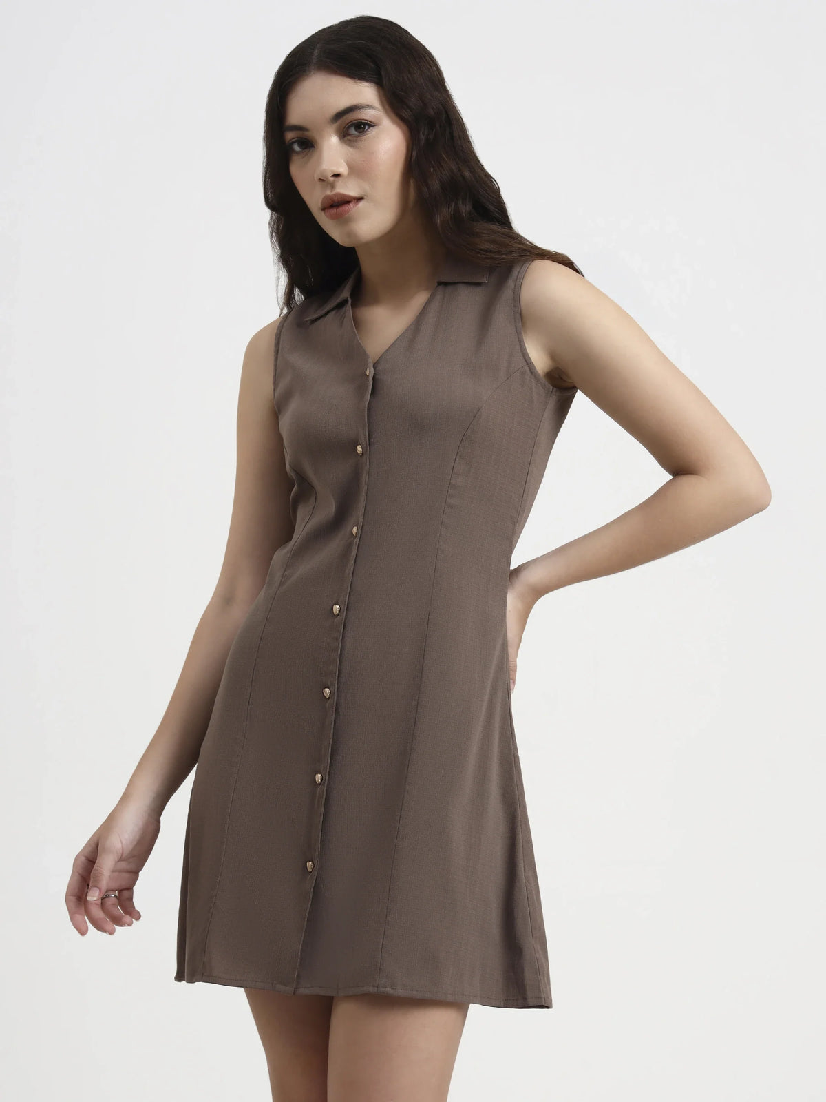 Structured Collared Dress - Sepia Brown